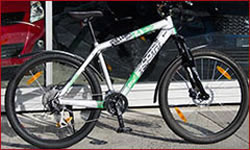 Ersatzfahrzeug Mountain Bike